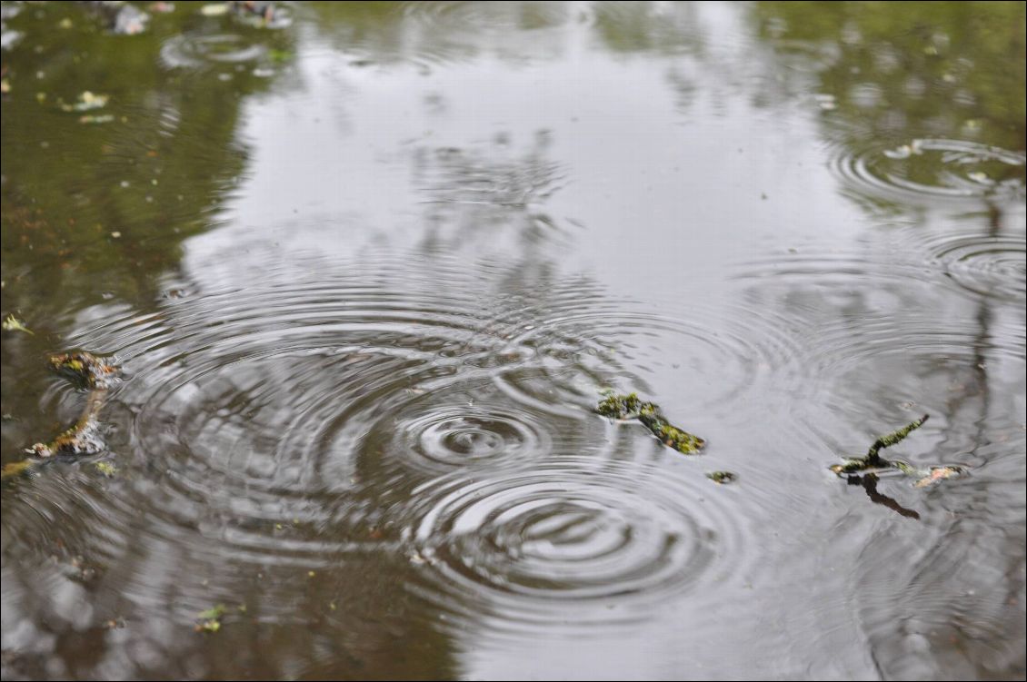 La pluie a fait son apparition