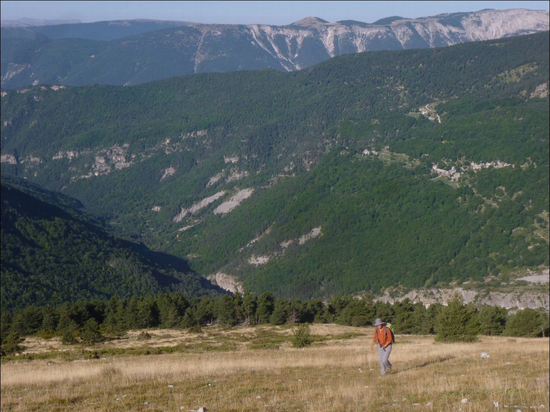 Montée dans l'alpage