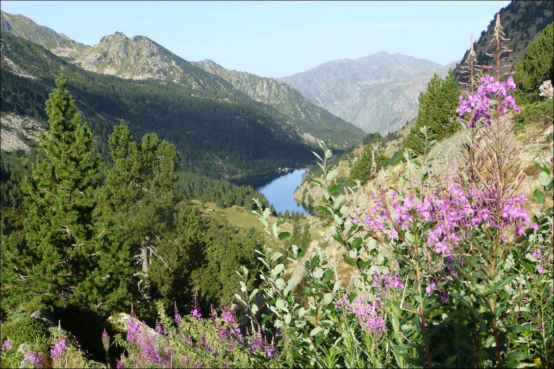 Ambiance bucolique au refuge des Besines