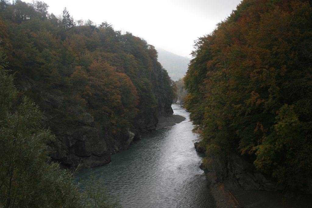 Le Drac a creusé les gorges du Loup.