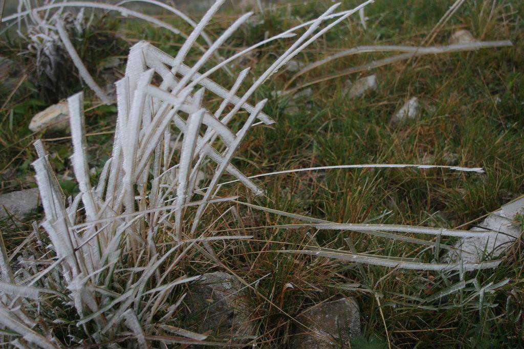 Le brouillard givrant est transporté par le vent dans l’alpage du col de la Croix, 1497 m.