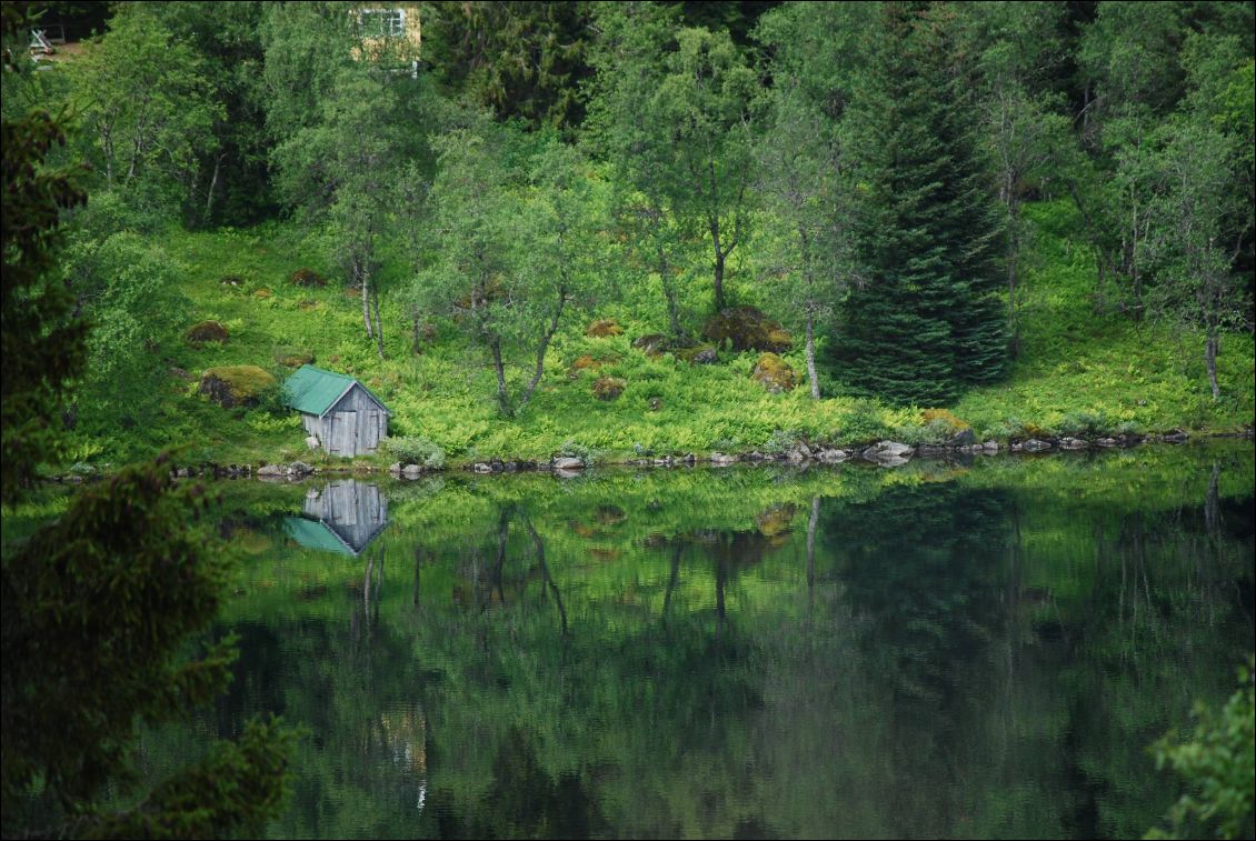 La cabane au fond des bois...Que les bruits de la nature sont une belle musique pour les oreilles.