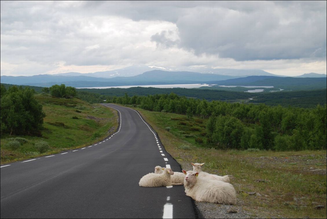 En haut d'un "col" à 1000 m vers Stokkfjellet . Il fait froid comme à 3000 dans les Alpes !!!