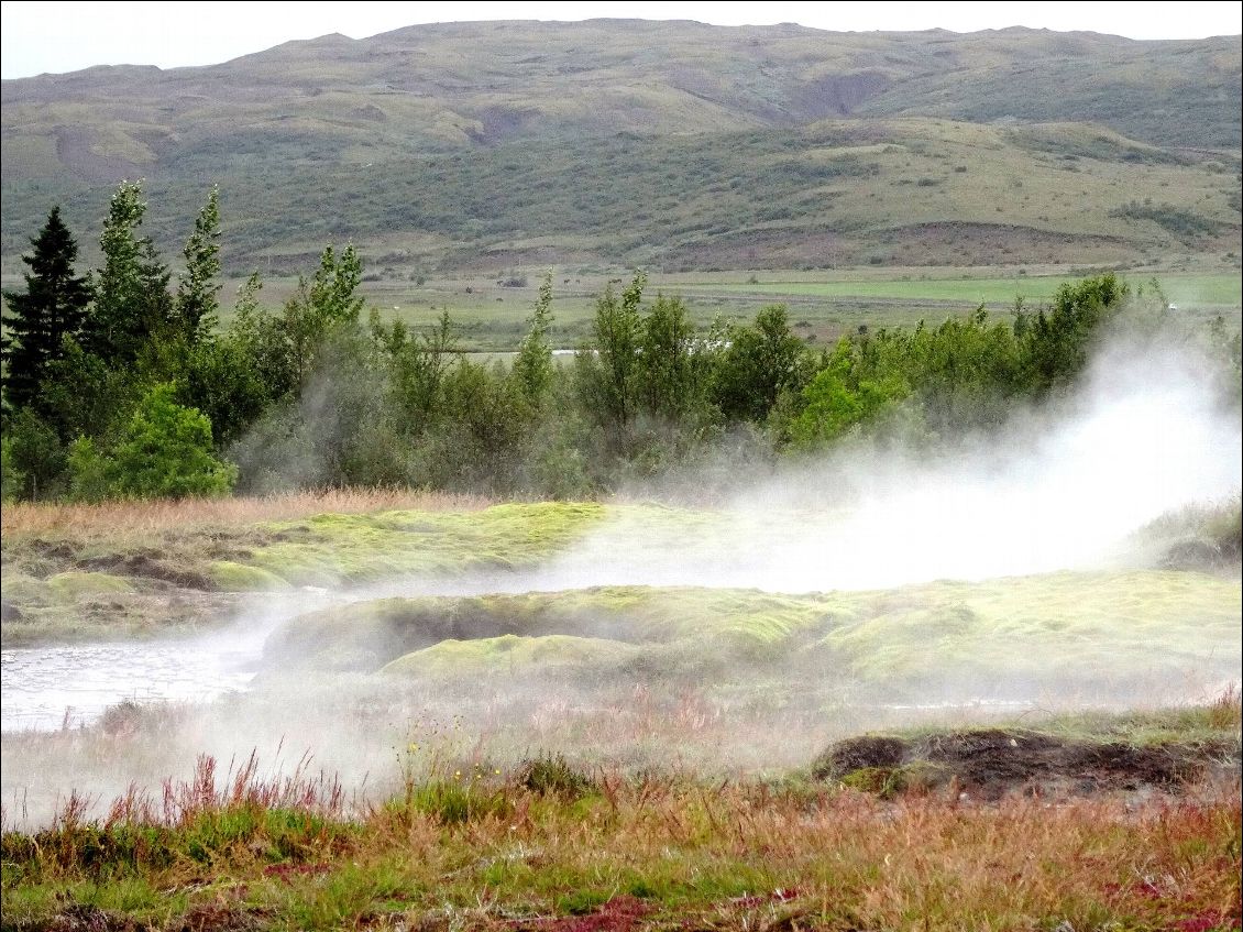 Fumeroles à Geysir