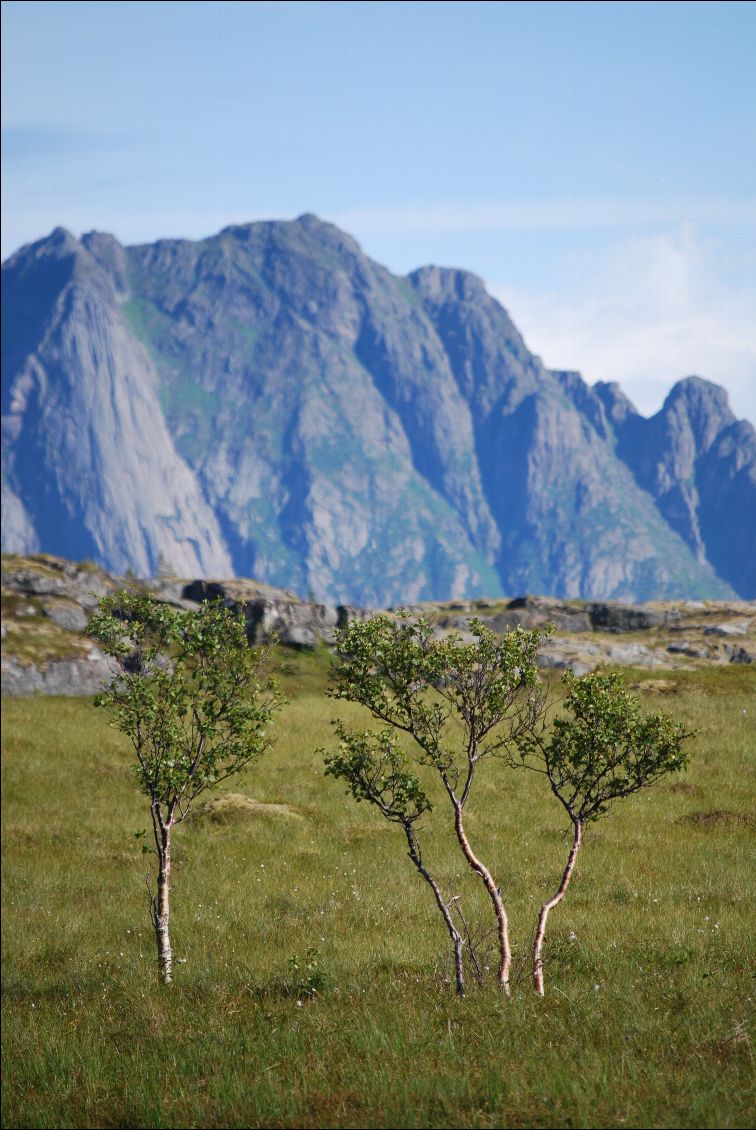 Paysages contrastés...