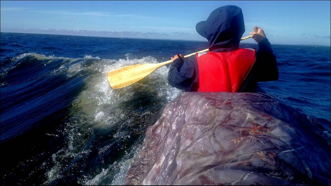 La dernière traversée sur le Vanern, perturbée par un vent très soutenu et des vagues, pas vraiment dans le même sens !