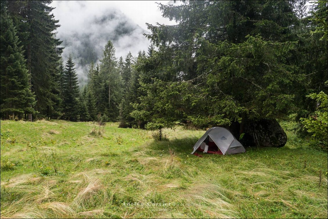 Bivouac sauvage caché sous les arbres