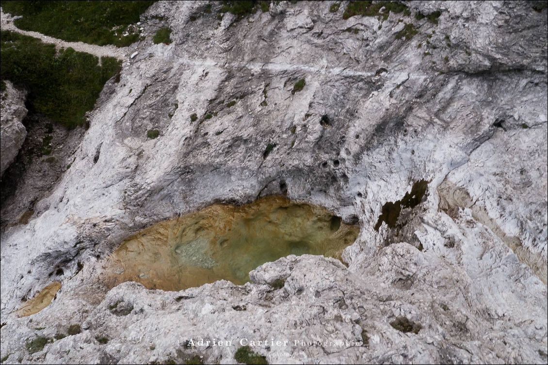 Une bonne baignade!