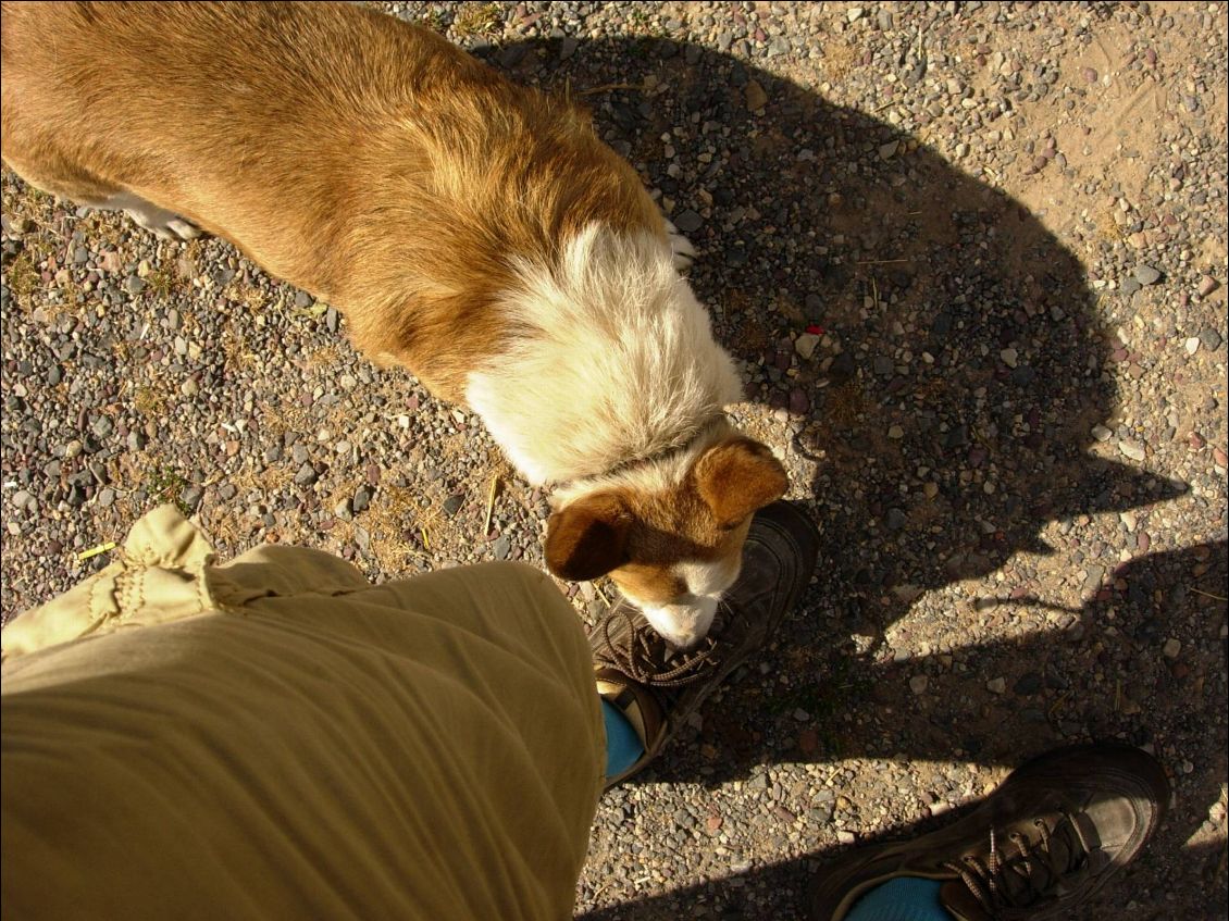 Rencontre ou chacun observe l'autre........................