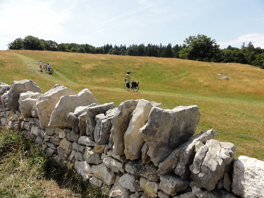Les murs de pierres sèches emblématiques du Jura.