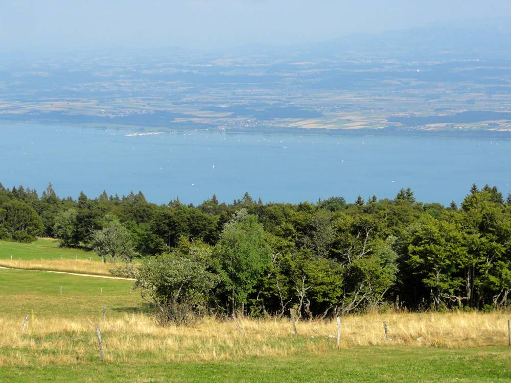 La vue sur le lac de Neuchâtel depuis la cabane Perrenoud. "Regardez, dans deux jours nous reviendrons par la rive en face!"