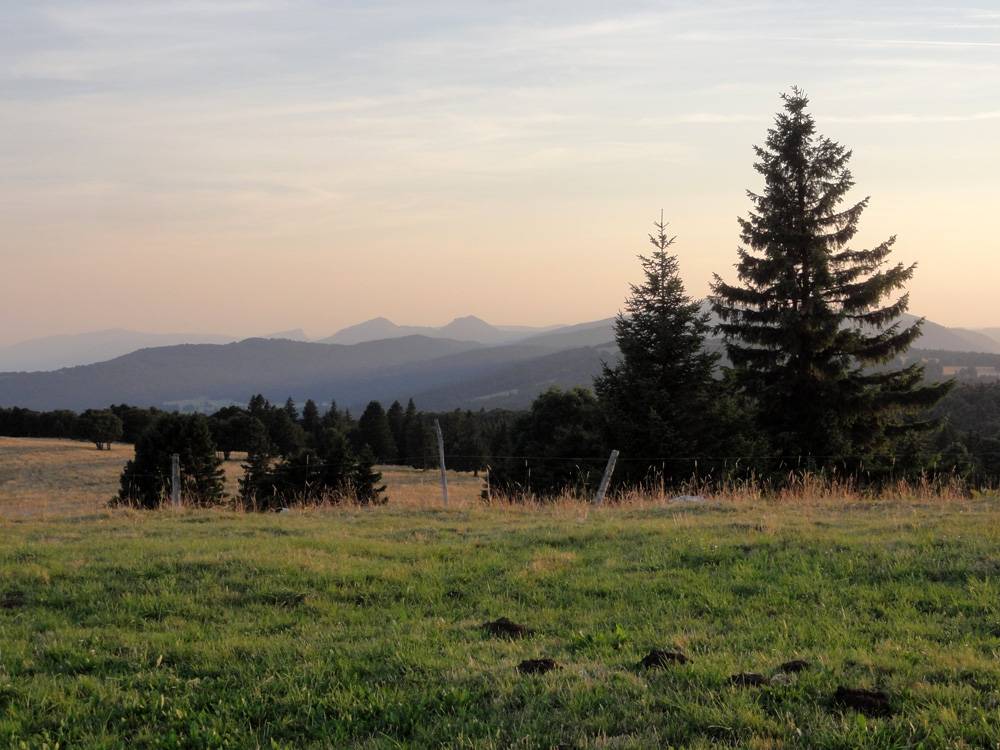 Regard en arrière, on aperçoit au loin de gauche à droite le Mont Tendre, la Dent de Vaulion, et plus distinctement les deux bosses du Suchet et des Aiguilles de Baulmes. C'est très important de le préciser, si, si, c'est le berceau de l'enfance du papa. Les six bosses au premier plan sont des taupinières, sans nom particulier. ;-)