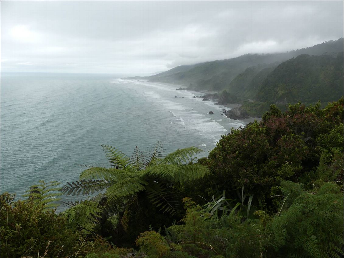 J7 Westport - Punakaiki