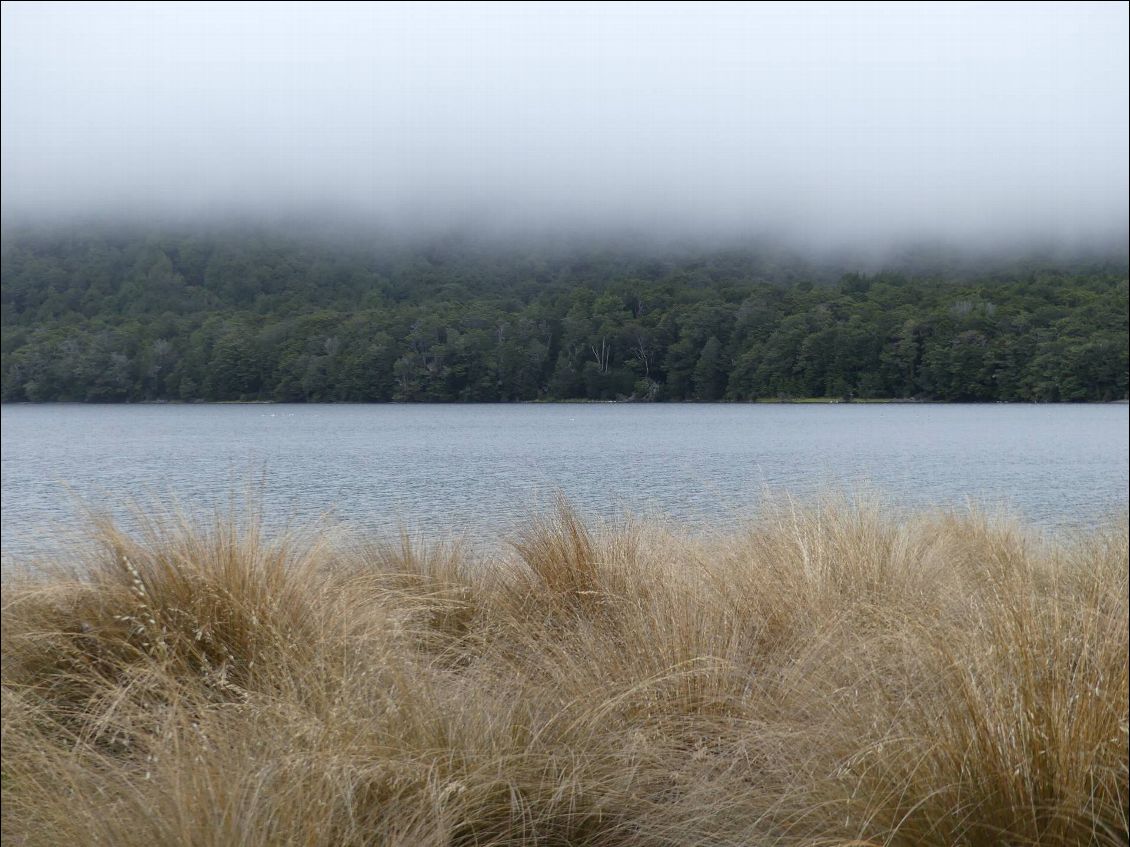 brume matinale sur Mavora Lake, il ne fait pas super chaud au petit déjeuner...