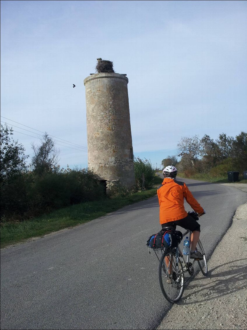 Le vélo de Mimi, avec un nid de cigogne en Camargue