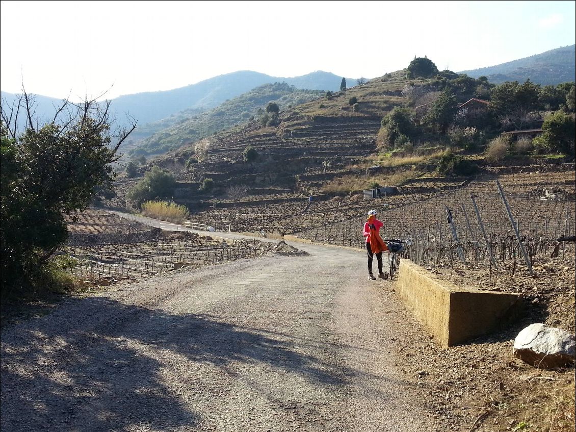 Février 2014 : Collioure - Cervera, 8 jours