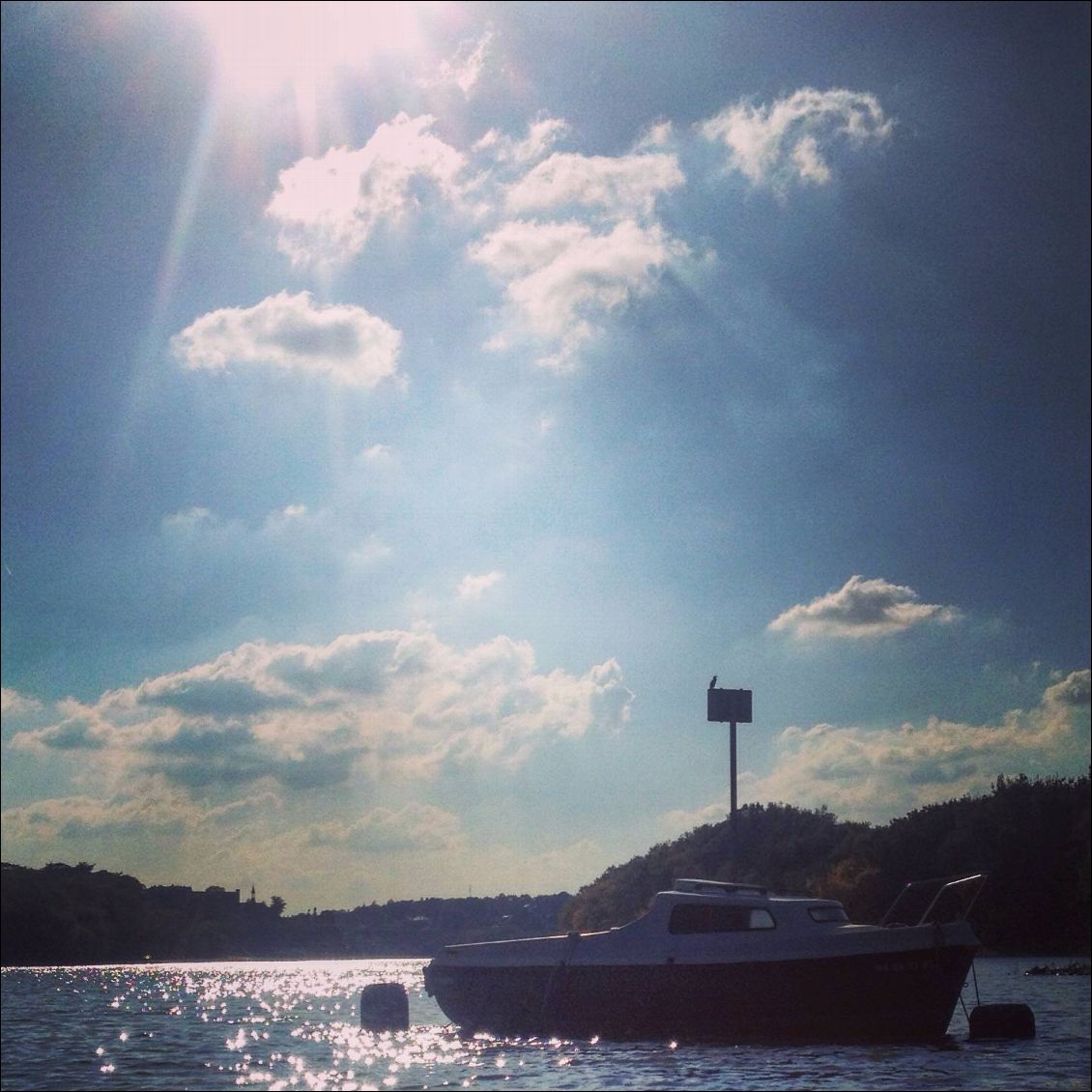 L'île Robinson à la sortie d'Angers.