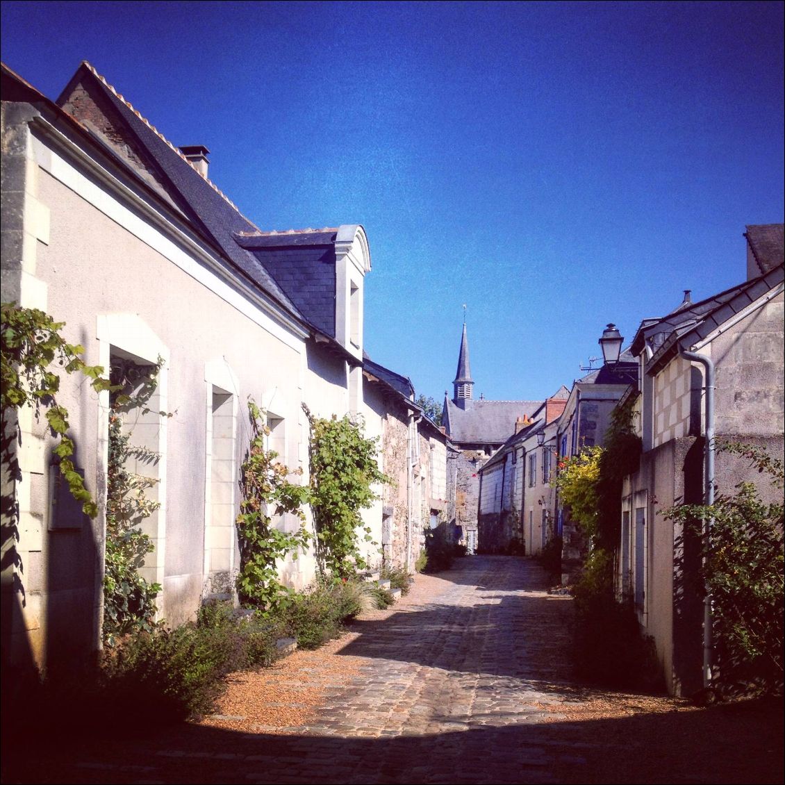 Un petit air d'île de Ré, vous n'trouvez pas?