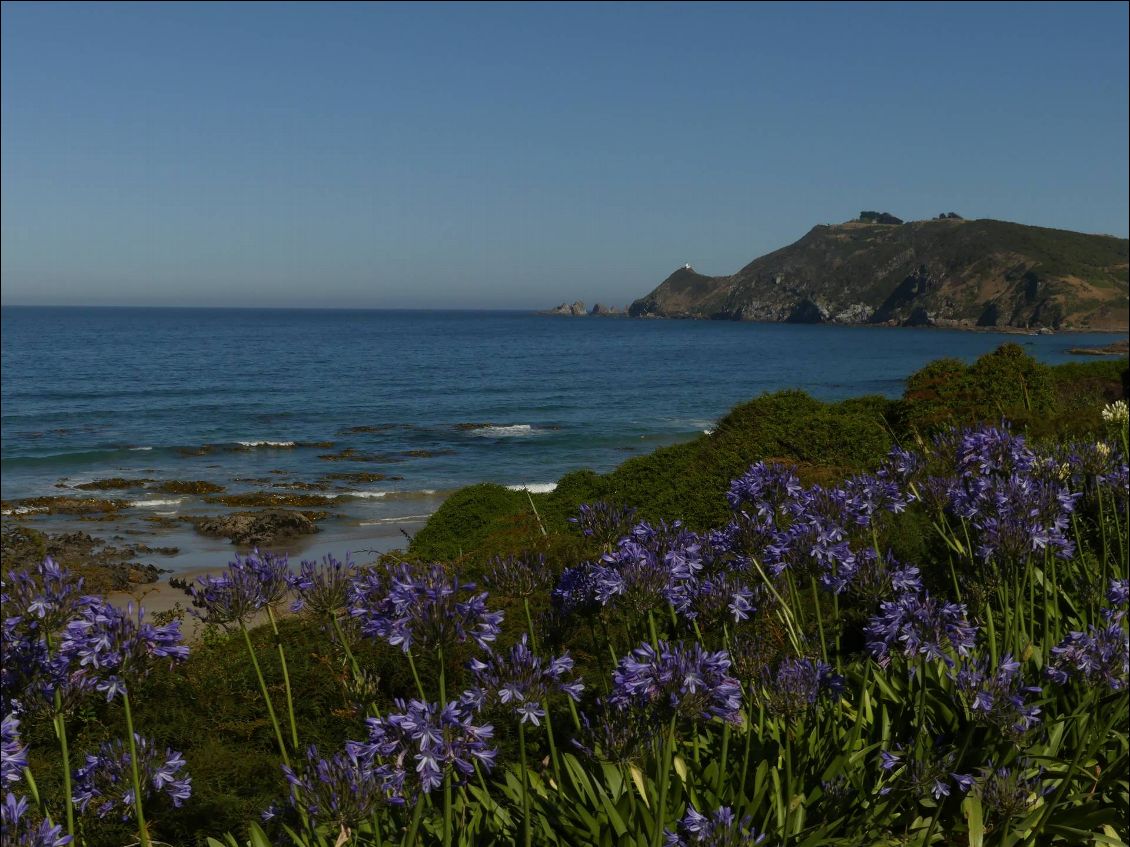 en route pour Nugget point!