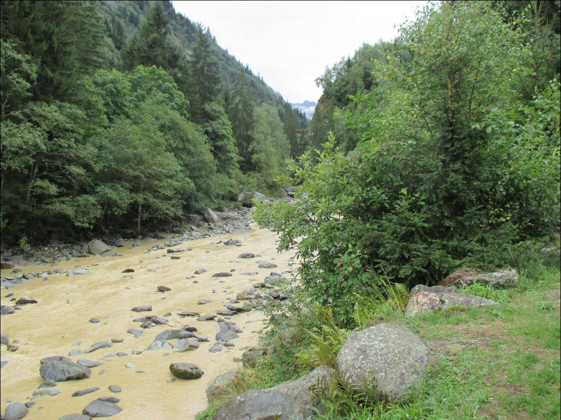 Le Rhin boueux après une nuit particulièrement pluvieuse....