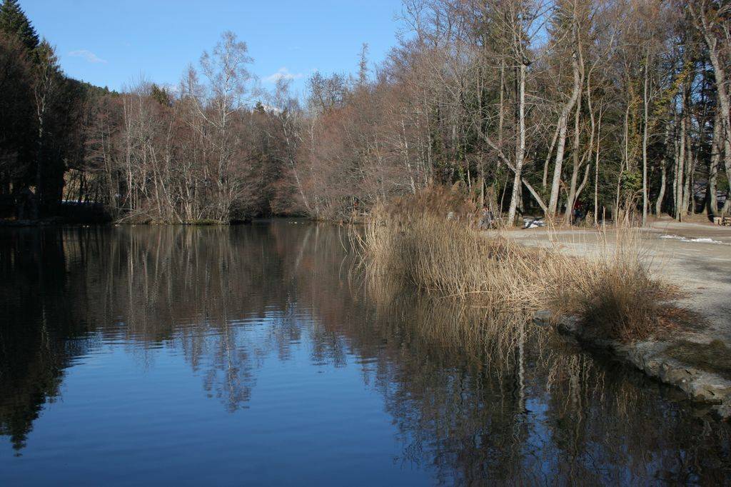 Le lac de Charance bordé d'un chemin pour la promenade non motorisée.