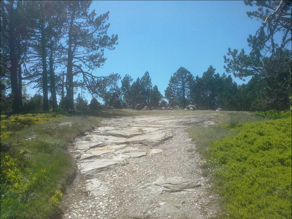 Dans la montagne du Bougès