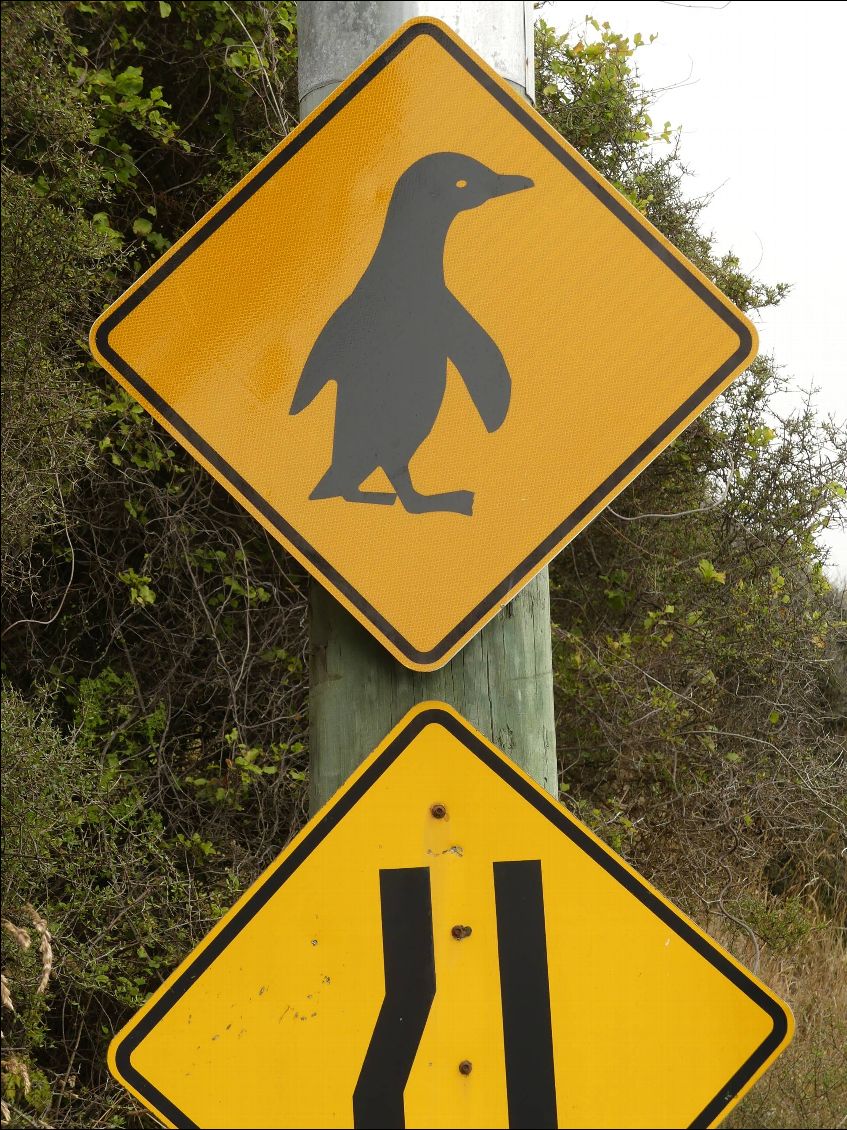 attention, entonnoir à pingouin