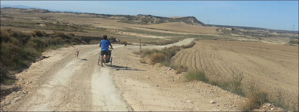 Joggeur avec poussette. Bébé secoué?