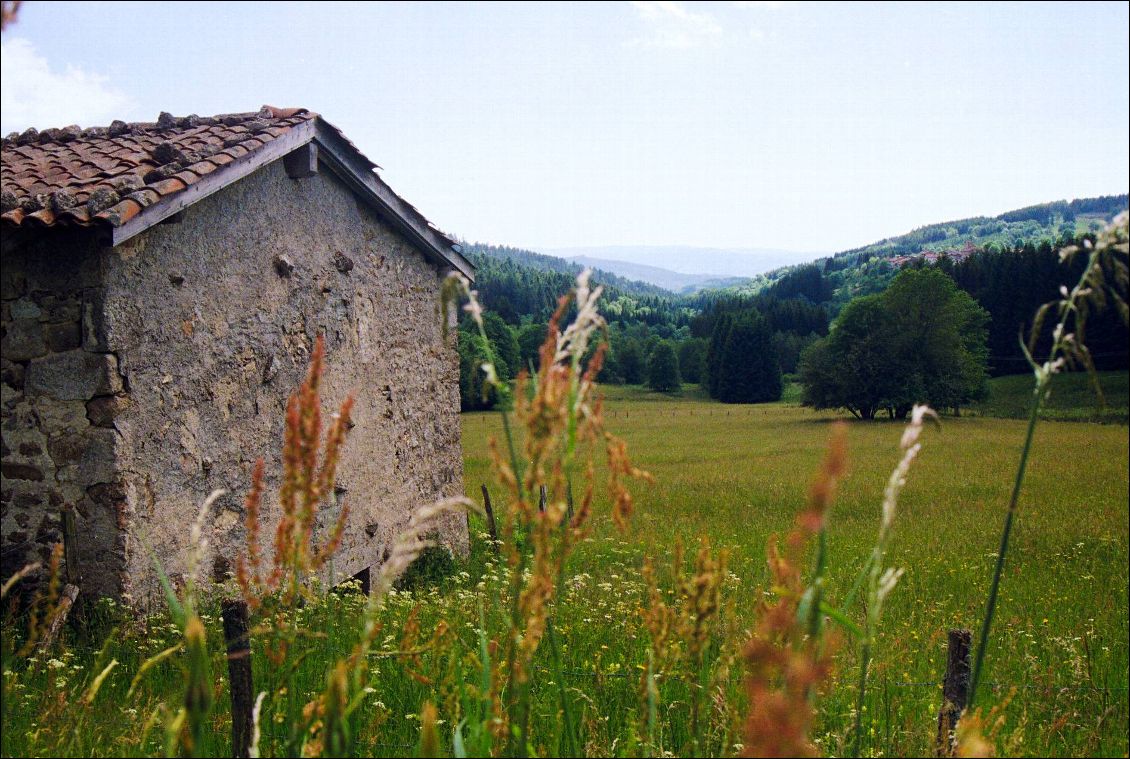 La belle vallée sauvage vers Le Goutterin.