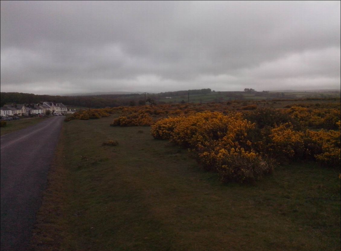 Paysages de Landes.