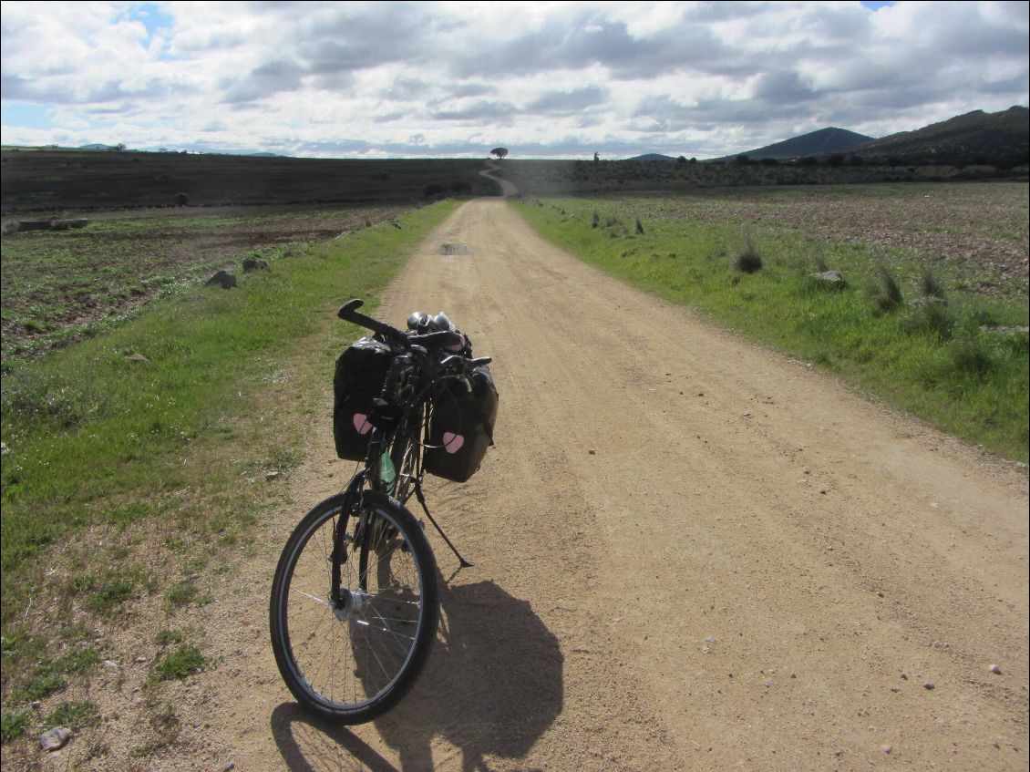 La piste est très roulante, je peux tenir une bonne moyenne.