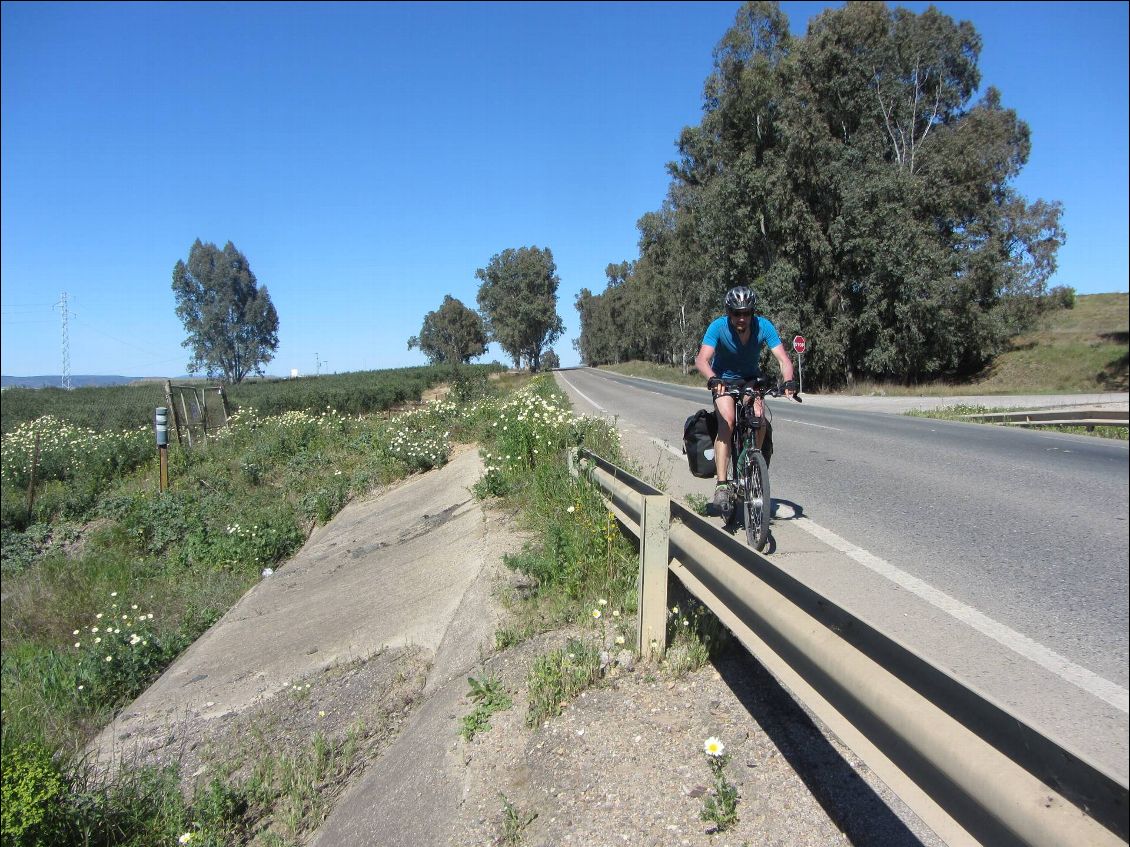 Les 40 kils avant séville....pas terribles, mais avec les nombreuses voies ferrées et autoroute, difficile de faire autrement.