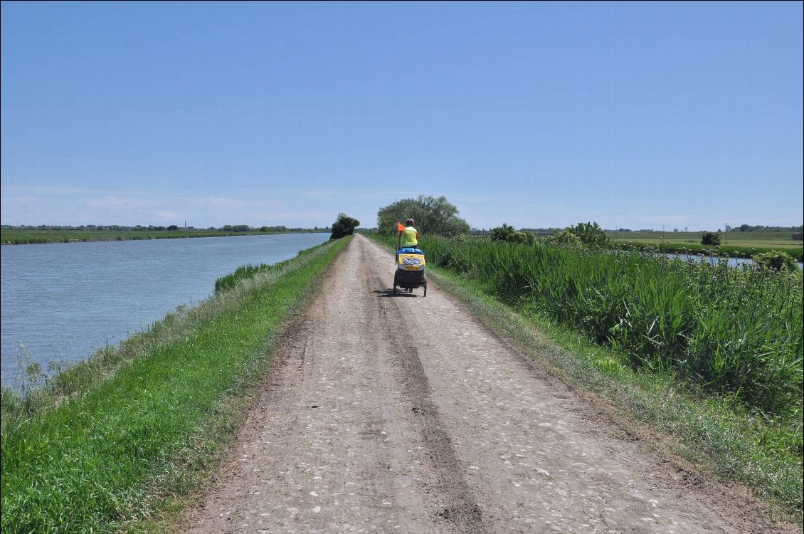 le long des canaux qui drainent le delta