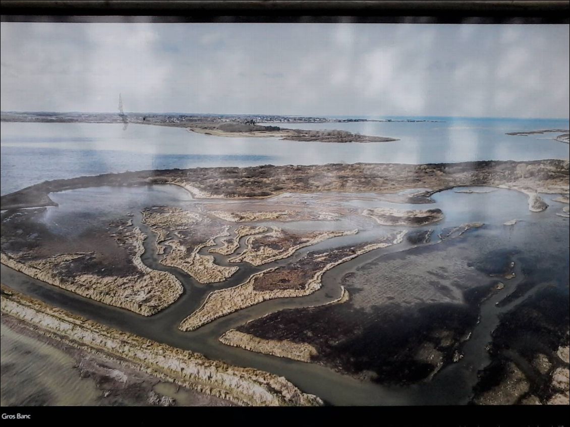 Photo d'une photo d'une expo sur les dunes et marais à Ouistreham (à La maison de l'estuaire ).
Le photographe utilisé un cerf volant pour obtenir ce genre de vue