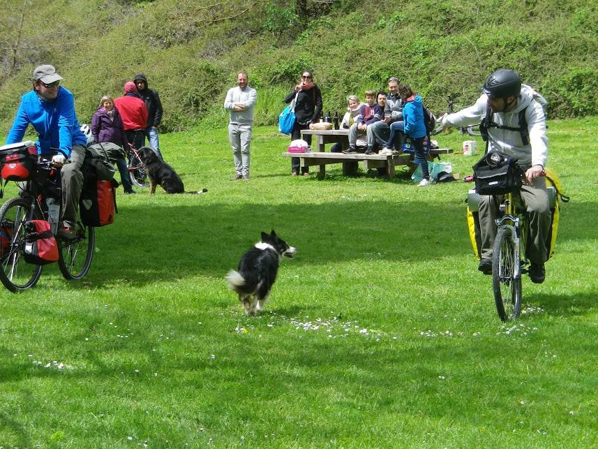 Départ après le picnic à Layoule, merci à ceux qui ont pu être la...
Notre border Shiva à qui on ordonne de rester la sinon elle partait avec nous pour quelques km...