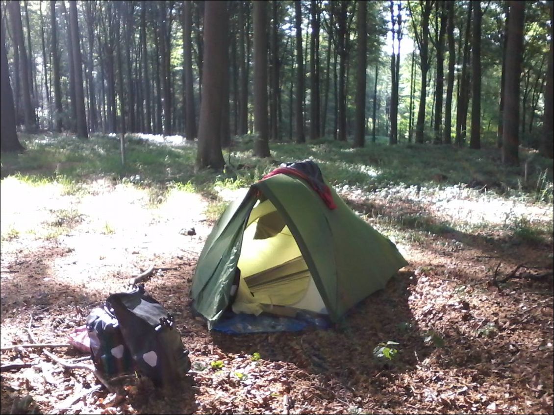 Bivouac dans un sous-bois au milieu de cervidés, un peu avant Brakel.