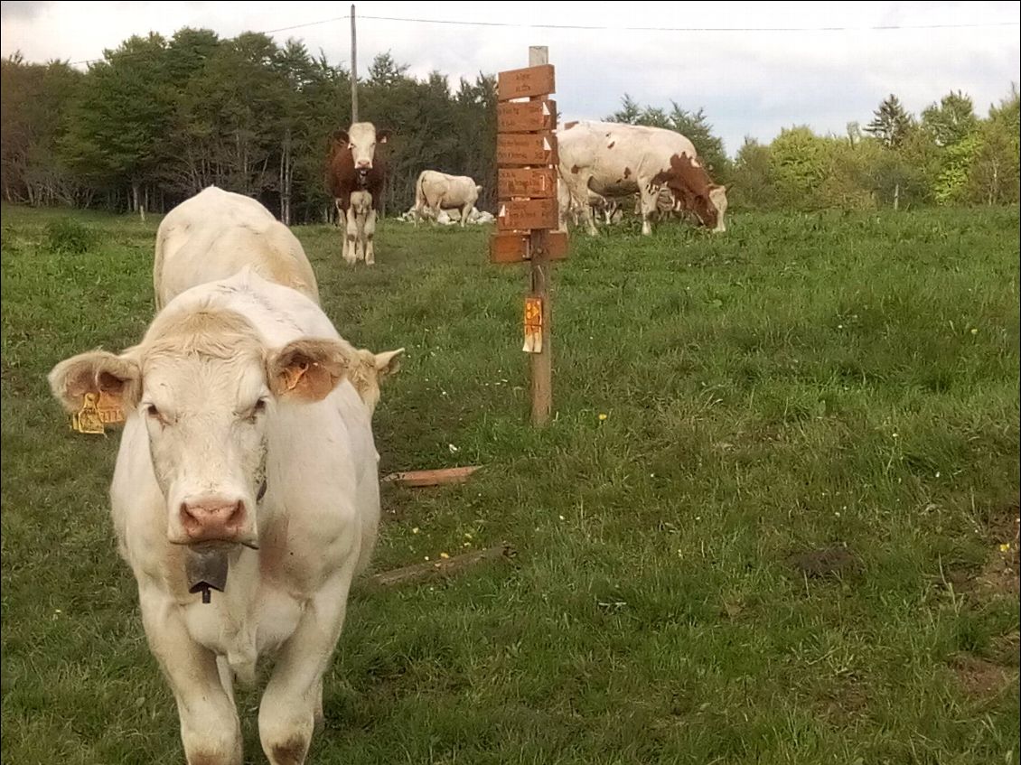 Les panneaux sont bien gardés.