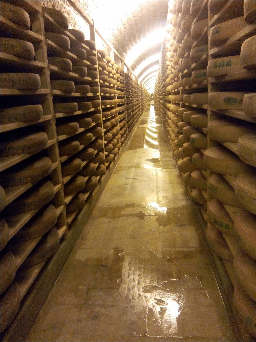 Affinage du comté au fort des Rousses.
