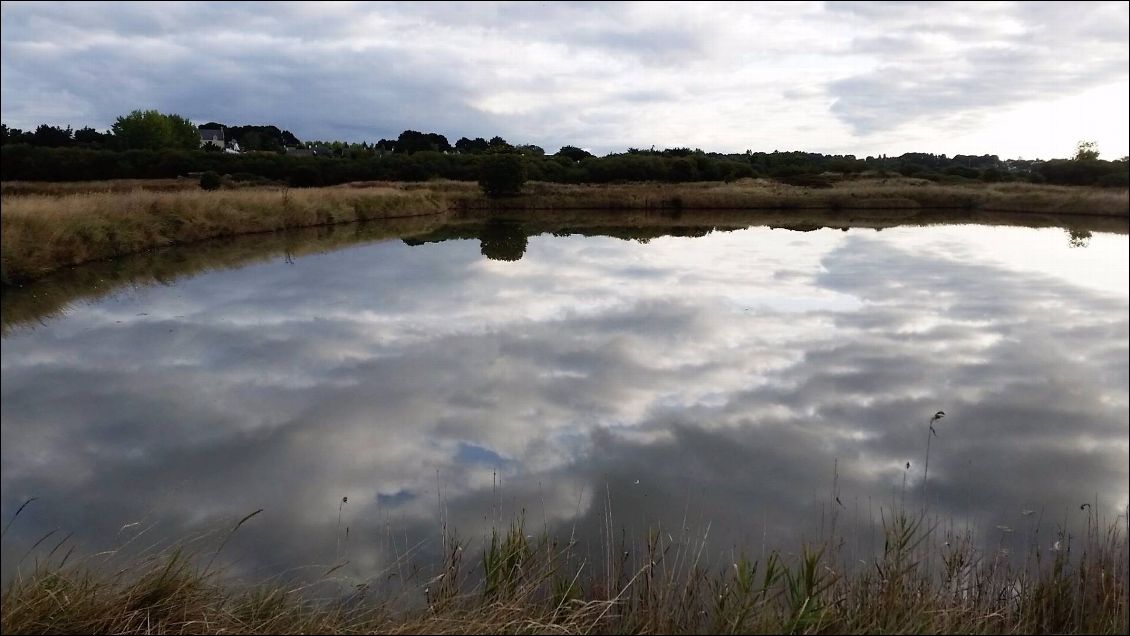 En passant dans les marais de Mouzac