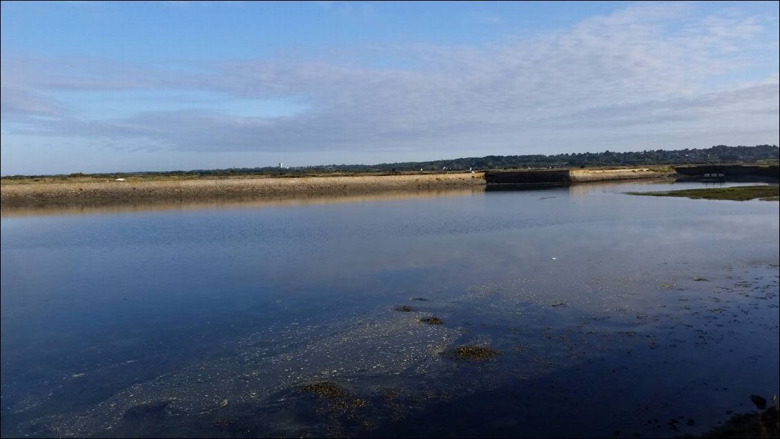 Une partie du Petit Traict. A l'arrière, le côteau de Guérande