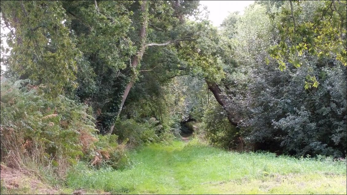 Dernier petit sentier
