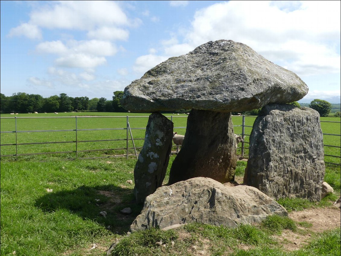 mignon dolmen avec pour seuls visiteurs les moutons