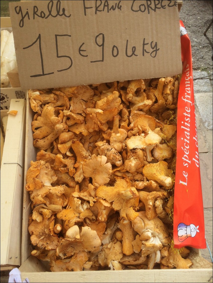 Une petite envie de champignons !