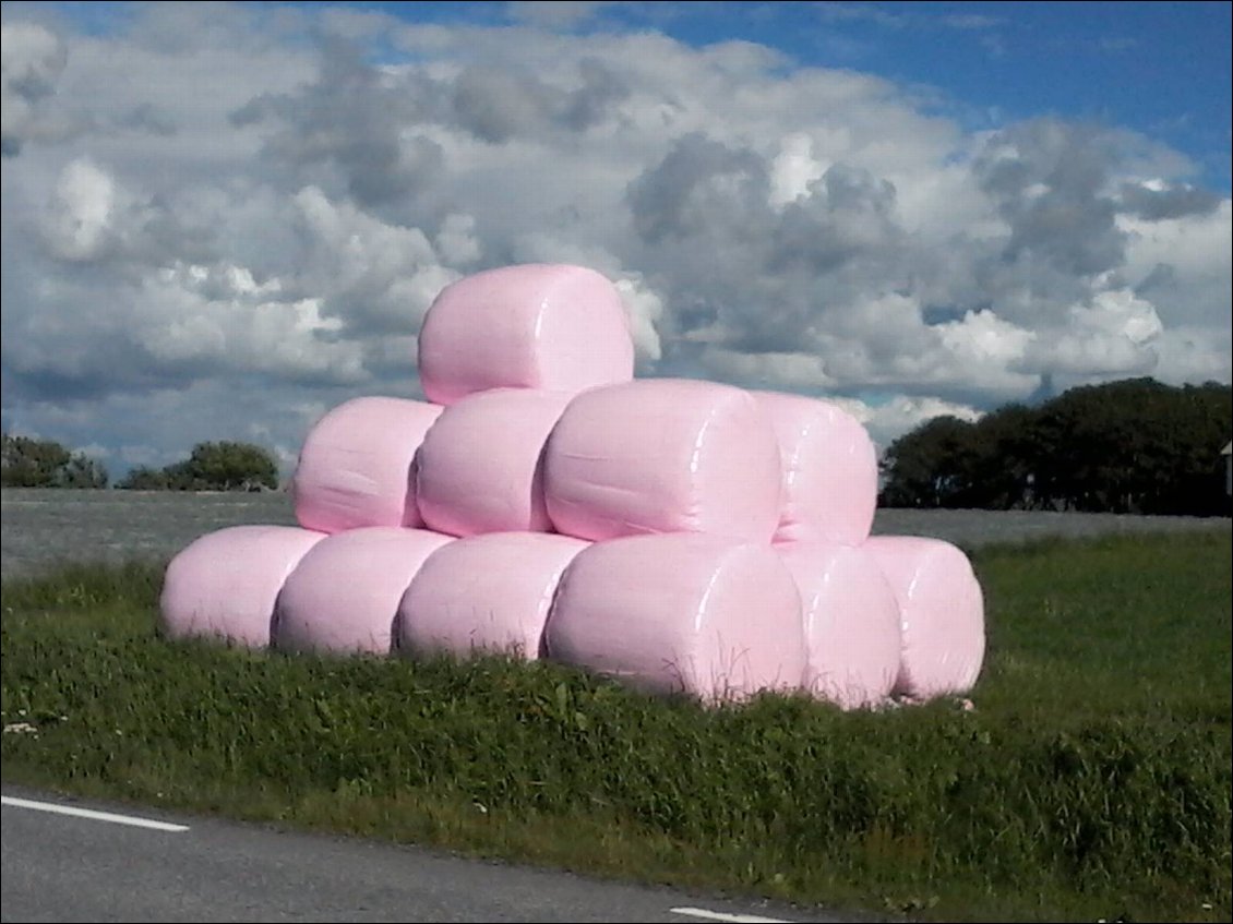 Paquet de shamallows géants dans la prairie.
Miam !