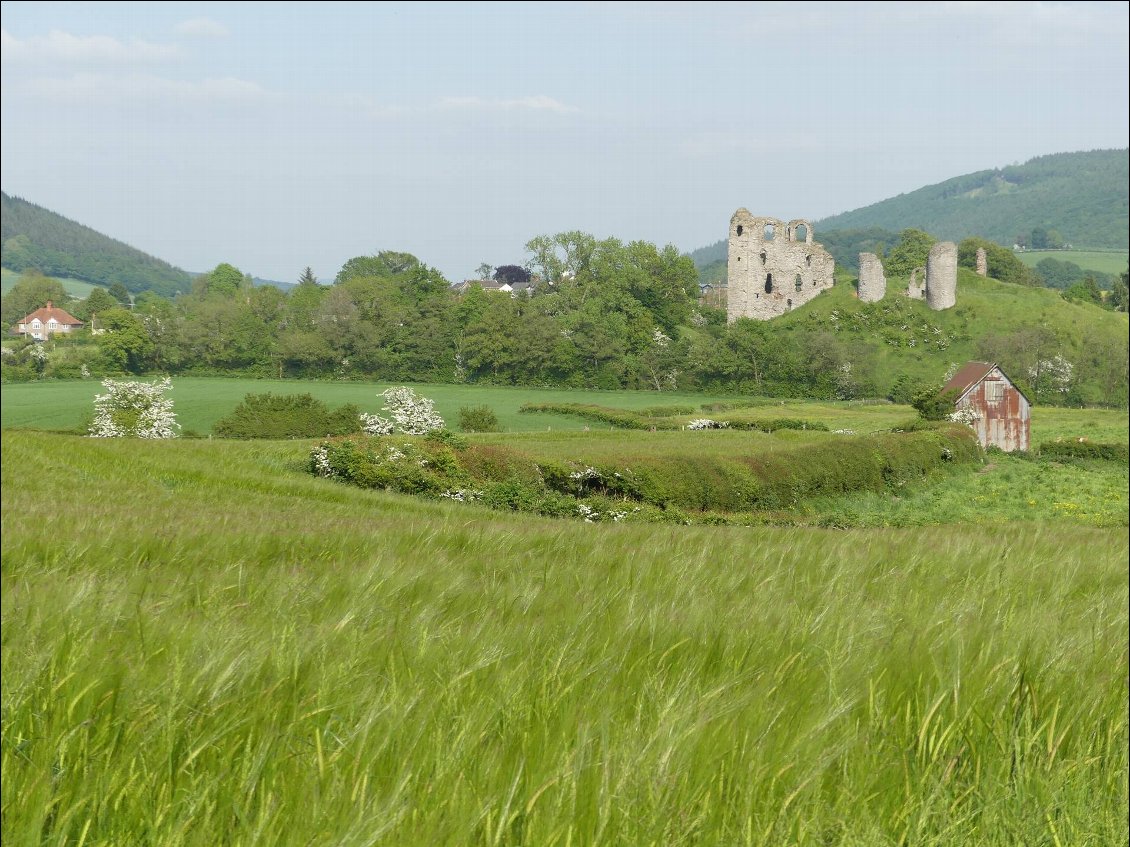 encore un château tout cassé. Qu'est ce que ce serait s'il y avit eu une révolution ici....