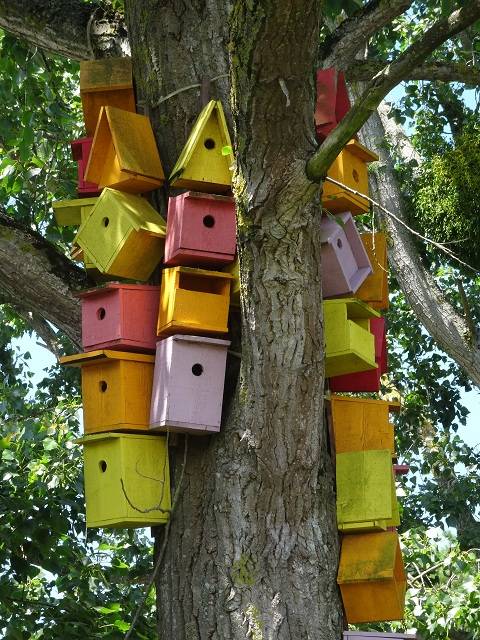 -L'hlm pour oiseaux.