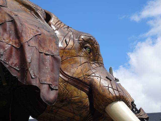 L'éléphant des Machines de l'île.