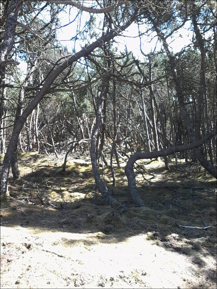 En traversant les réserves naturelles ...