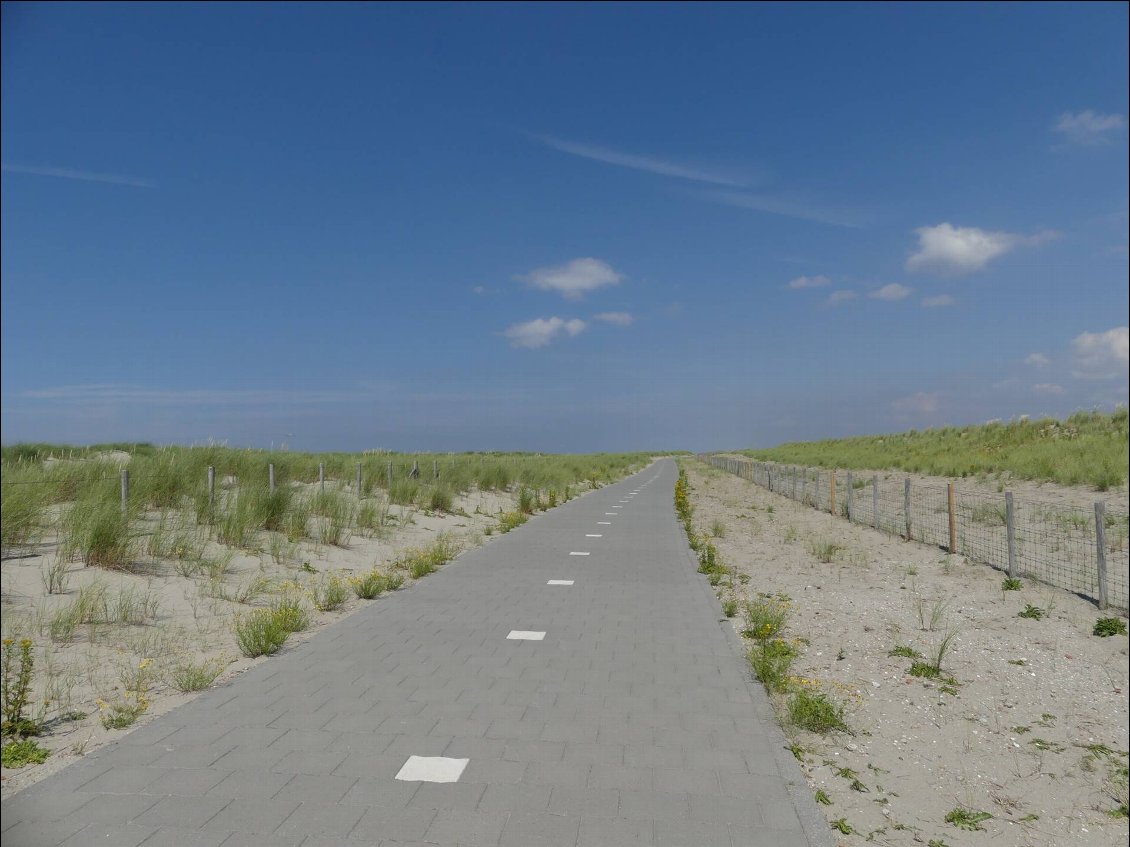 au milieu des dunes au bord de la mer