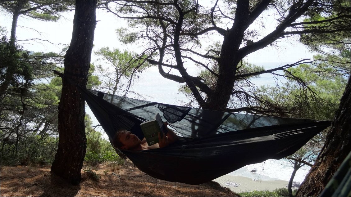 Lecture en hamac à l'ombre au-dessus de la plage de nudistes